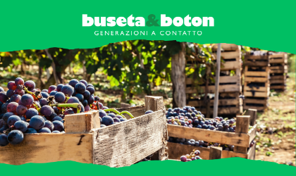 Ti racconto la vendemmia