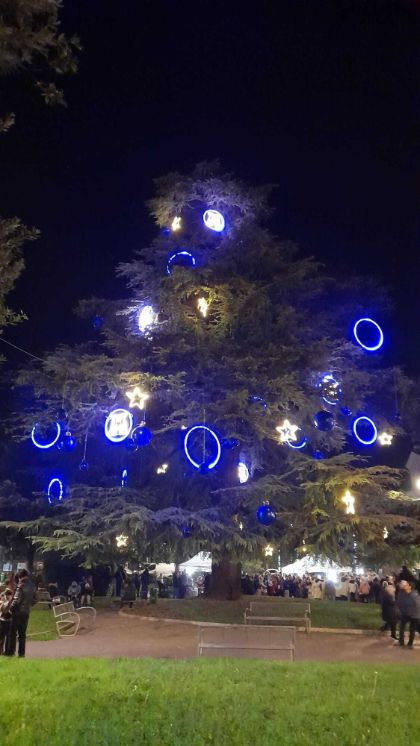 Il Natale di San Martino Buon Albergo si accende con Motta: un progetto condiviso per celebrare il territorio