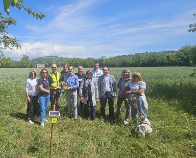 Progetto tetti verdi